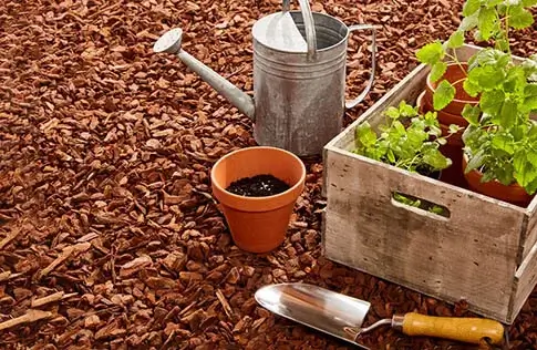 Mulch-1