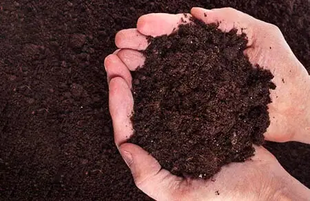 topsoil-2a