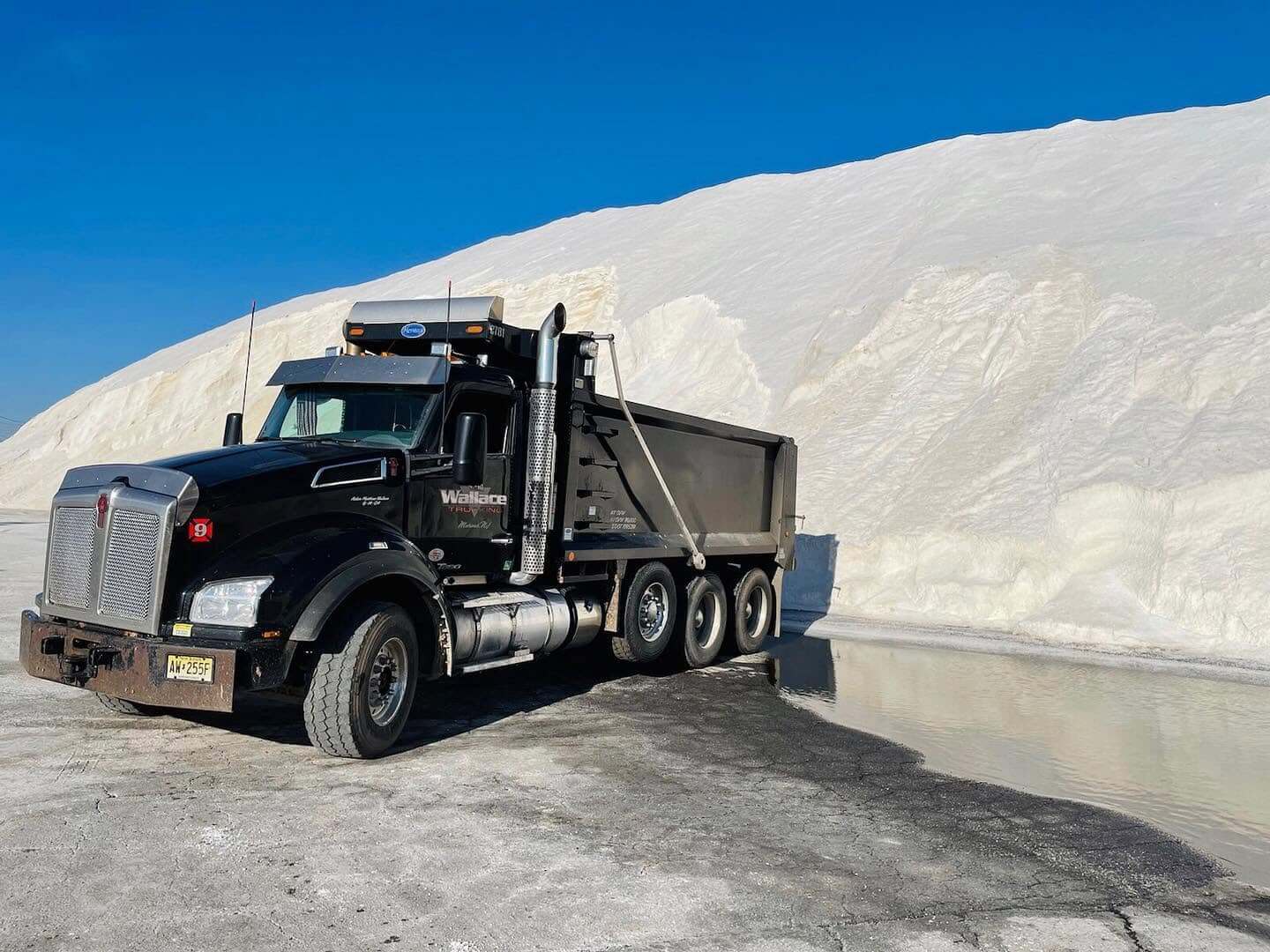 salt delivery salt delivery